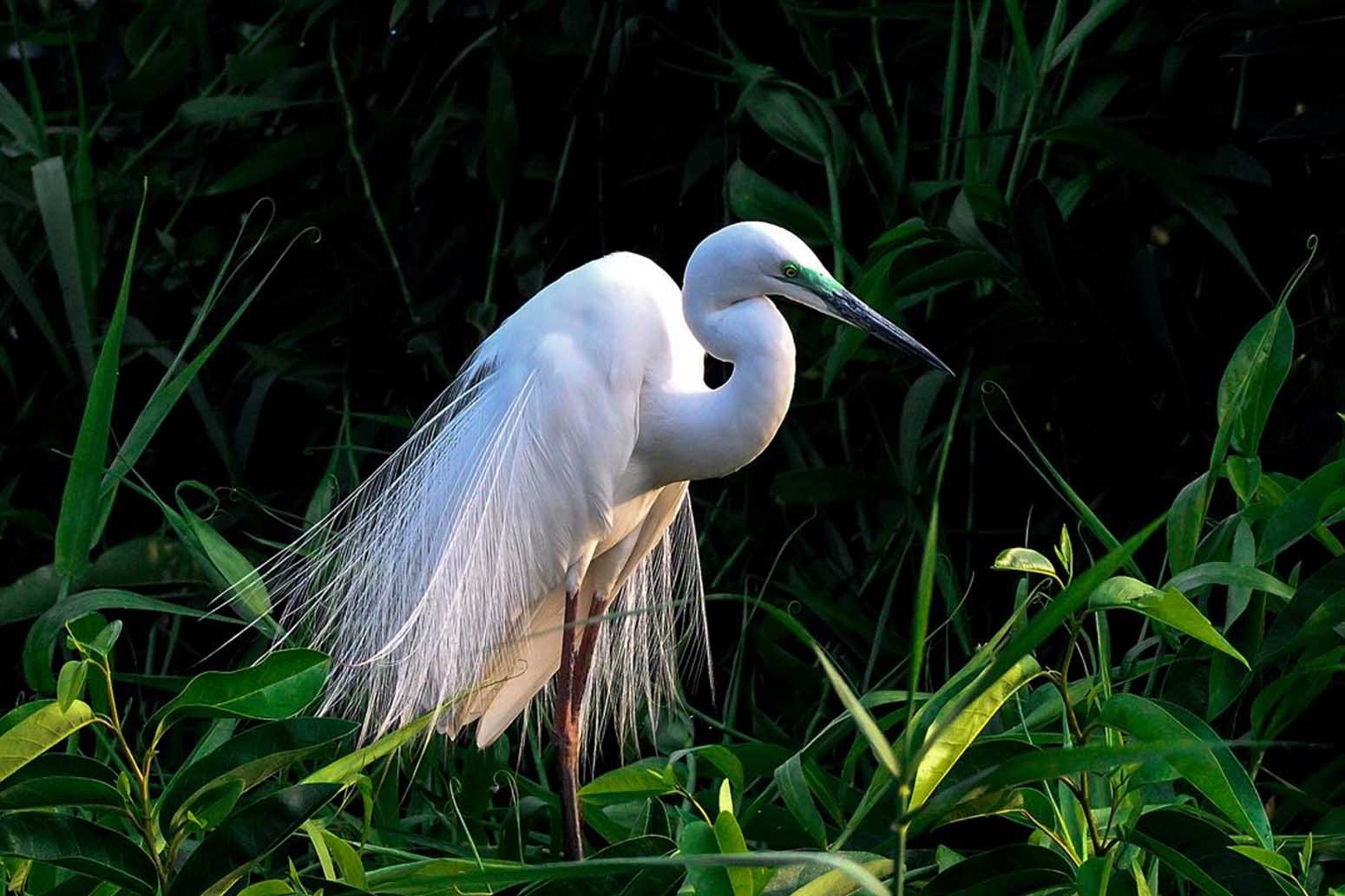 Kerala Luxury Backwaters Tour